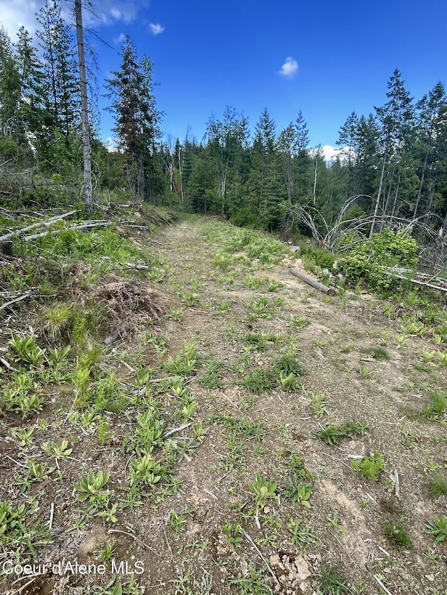 NNA Talking Bear Dr, Priest River, ID 83856
