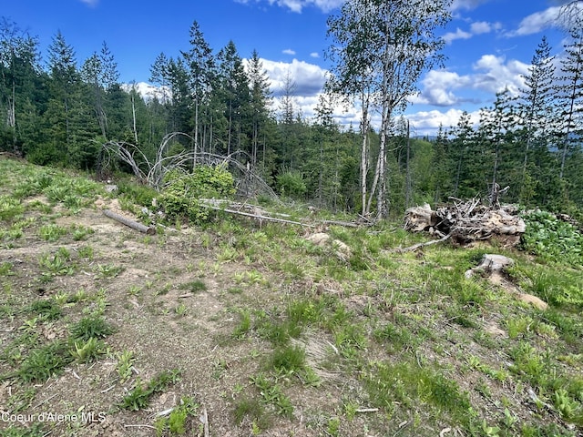 NNA Talking Bear Dr, Priest River, ID 83856