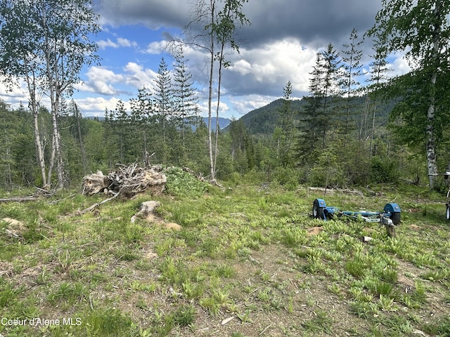 NNA Talking Bear Dr, Priest River, ID 83856