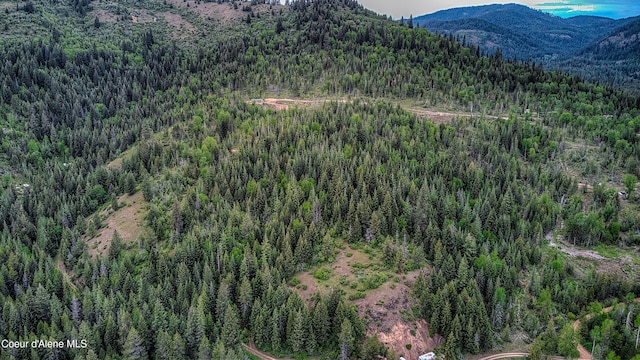 NNA Talking Bear Dr, Priest River, ID 83856