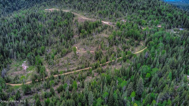 NNA Talking Bear Dr, Priest River, ID 83856
