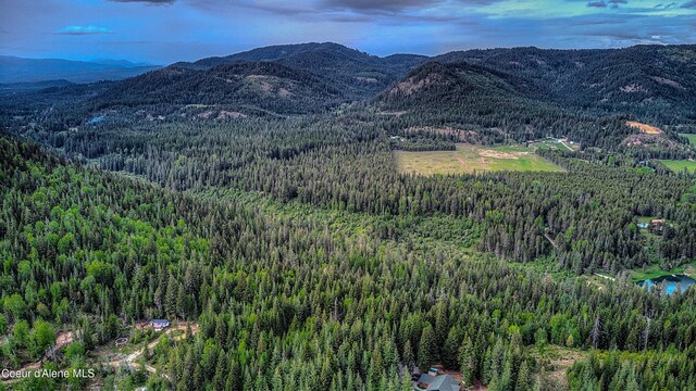 NNA Talking Bear Dr, Priest River, ID 83856