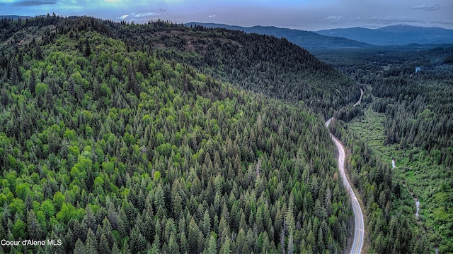 NNA Talking Bear Dr, Priest River, ID 83856