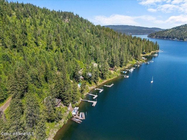 63666 S Powderhorn Bay Rd, Harrison, ID 83833