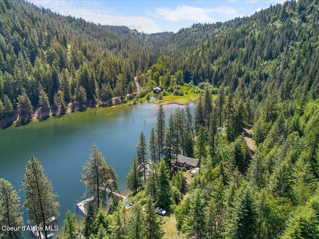 63666 S Powderhorn Bay Rd, Harrison, ID 83833