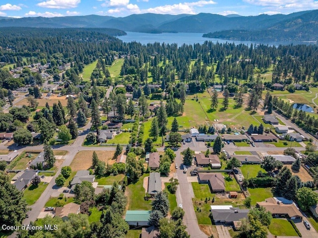 1305 E Victoria St, Hayden, ID 83835 - photo 68