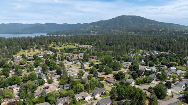 10016 N Zack Ct, Hayden, ID 83835 - aerial overview of property's location with a heavily wooded area and a water and mountain view