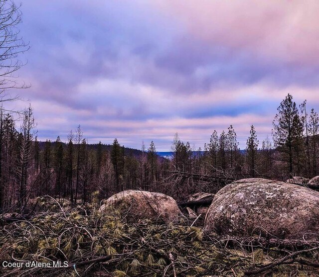 5069J Rail Canyon Rd, Springdale, WA 99173