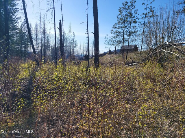 5069J Rail Canyon Rd, Springdale, WA 99173