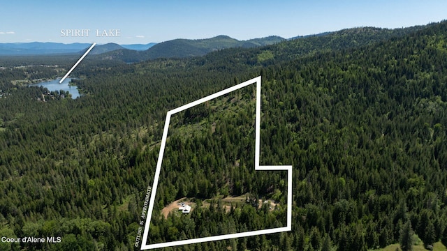 7966 W Nash Rd, Spirit Lake, ID 83869