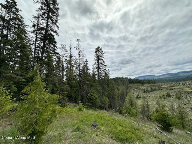 474 NW Fork Santa Creek Rd, Emida, ID 83861 - view of mountain backdrop with a forest