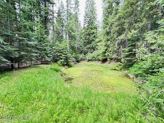 474 NW Fork Santa Creek Rd, Emida, ID 83861 - view of yard with a wooded view