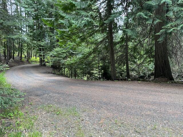 474 NW Fork Santa Creek Rd, Emida, ID 83861 - view of road featuring a forest view