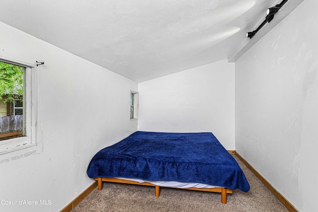 913 Cedar St, Sandpoint, ID 83864 - bedroom with carpet flooring and baseboards