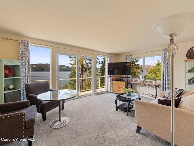 1824 W Cottonwood Rd, Worley, ID 83876 - living room featuring carpet flooring