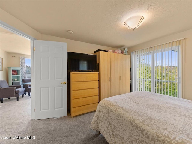 1824 W Cottonwood Rd, Worley, ID 83876 - bedroom with carpet floors, multiple windows, and a textured ceiling