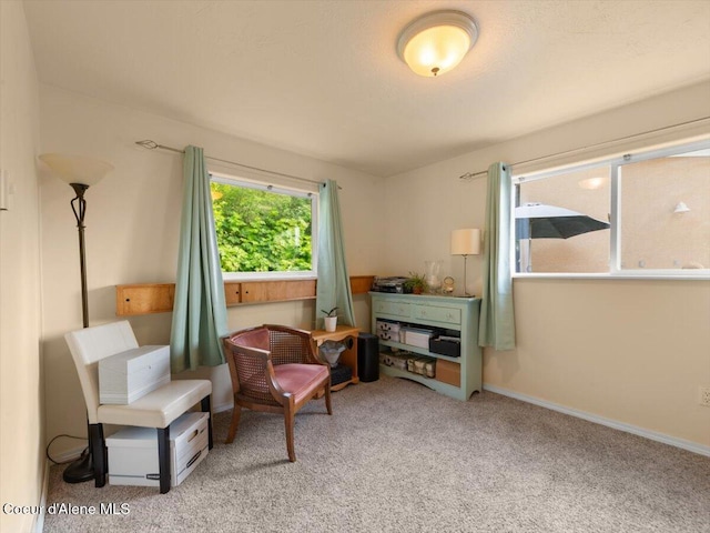 1824 W Cottonwood Rd, Worley, ID 83876 - living area with carpet floors and baseboards
