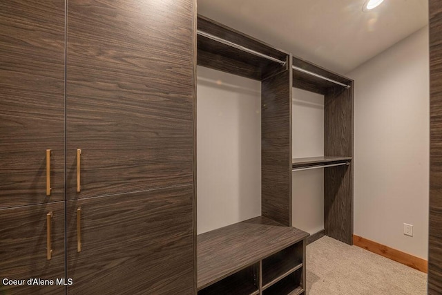 74 Wedge Ct, Priest Lake, ID 83856 - view of closet