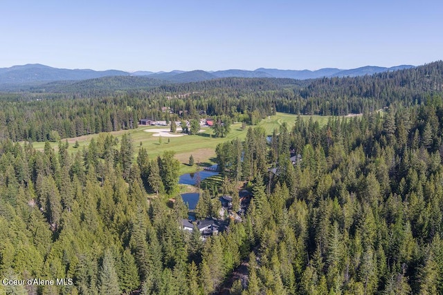 74 Wedge Ct, Priest Lake, ID 83856 - aerial overview of property's location with a heavily wooded area and a water and mountain view