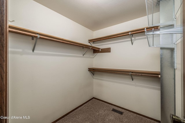 407 W Musket Ave, Post Falls, ID 83854 - walk in closet featuring carpet floors