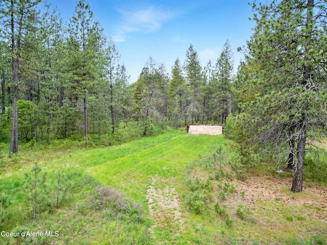 29808 N Caribou Ave, Athol, ID 83801 - view of yard featuring a view of trees