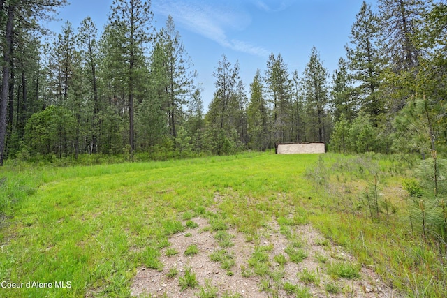 29808 N Caribou Ave, Athol, ID 83801 - view of yard featuring a view of trees and an outdoor structure