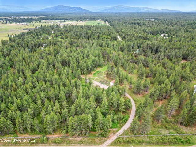 29808 N Caribou Ave, Athol, ID 83801 - view of property location featuring a forest and a mountain backdrop