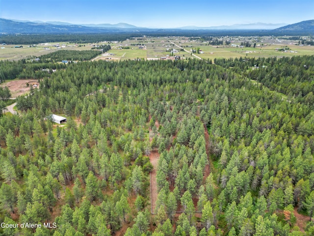 29808 N Caribou Ave, Athol, ID 83801 - aerial view of property's location featuring a mountainous background and a forest