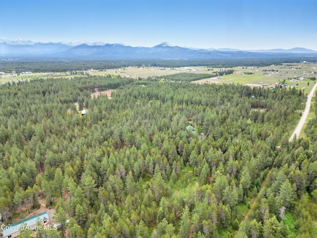 29808 N Caribou Ave, Athol, ID 83801 - drone / aerial view of a forest and mountains