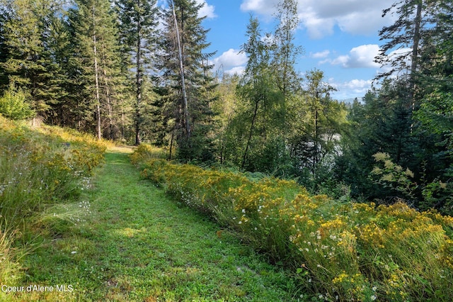 315 Wildberry Ln, Sagle, ID 83860 - photo 40