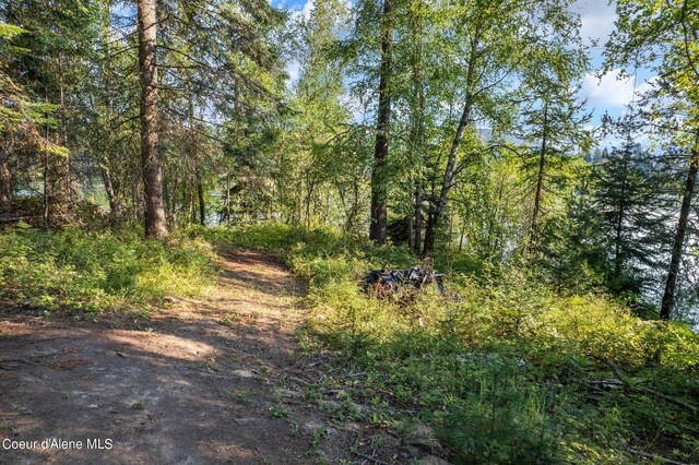 315 Wildberry Ln, Sagle, ID 83860 - photo 41