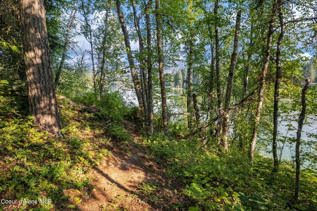 315 Wildberry Ln, Sagle, ID 83860 - photo 42