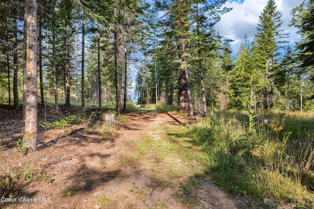 315 Wildberry Ln, Sagle, ID 83860 - photo 44