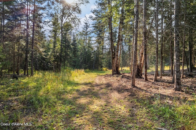315 Wildberry Ln, Sagle, ID 83860 - photo 45