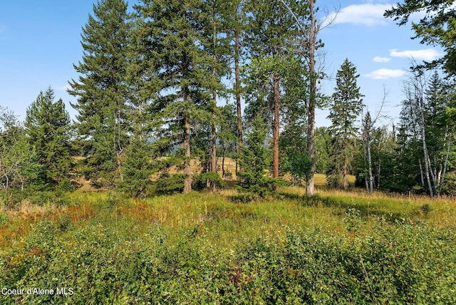 315 Wildberry Ln, Sagle, ID 83860 - photo 46