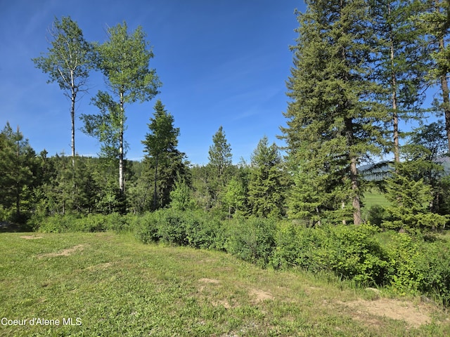 315 Wildberry Ln, Sagle, ID 83860 - photo 33