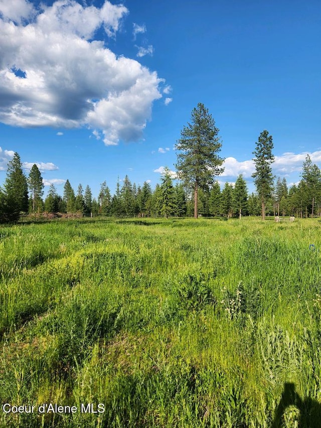 16488 N Atlas Rd, Rathdrum, ID 83858 - photo 16