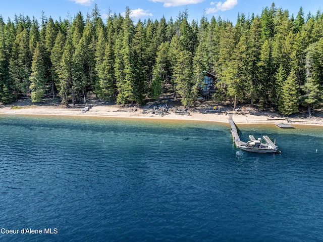 90 Bartoo Is Shr, Priest Lake, ID 83856 - water view with a boat dock