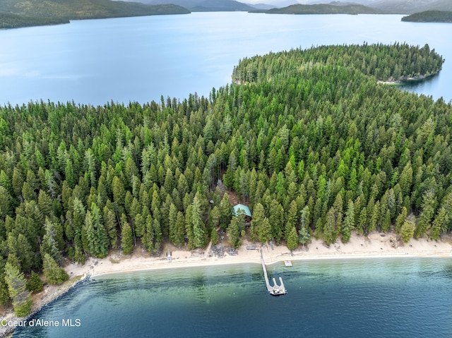 90 Bartoo Is Shr, Priest Lake, ID 83856 - view of property location with a water and mountain view and a forest