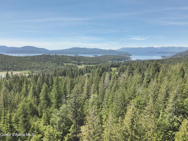 191 Sunset View Ln, Hope, ID 83836 - view of mountain backdrop with a forest and a nearby body of water