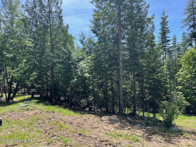 191 Sunset View Ln, Hope, ID 83836 - view of woods