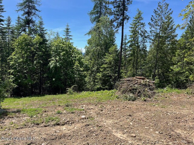 191 Sunset View Ln, Hope, ID 83836 - view of tree filled area