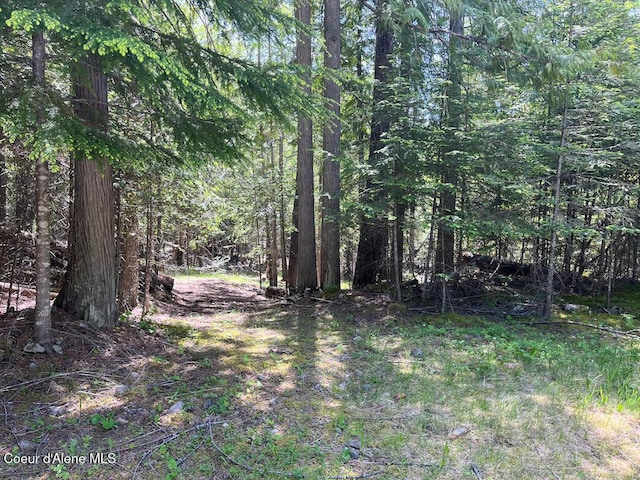 191 Sunset View Ln, Hope, ID 83836 - view of woods