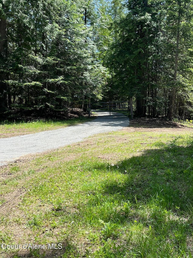 191 Sunset View Ln, Hope, ID 83836 - view of street featuring a view of trees