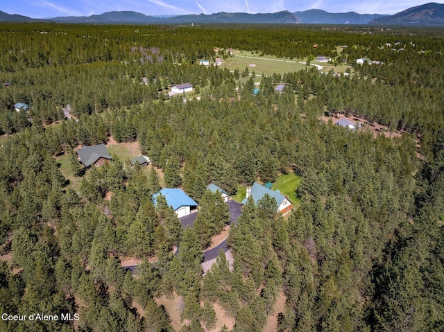 27294 N Clagstone Rd, Athol, ID 83801 - view of property location featuring a heavily wooded area and a mountainous background