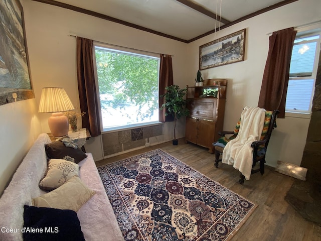 176 King St, Wallace, ID 83873 - living area featuring wood finished floors and crown molding
