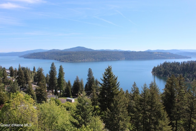 22884 S High Dr, Worley, ID 83876 - water view featuring a mountain backdrop and a heavily wooded area