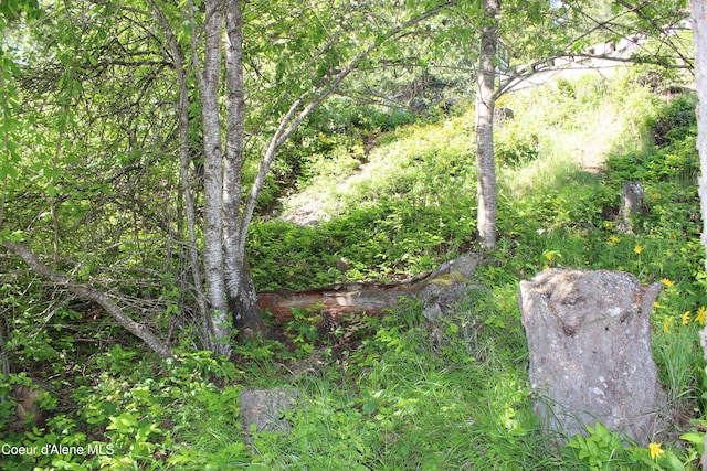 22884 S High Dr, Worley, ID 83876 - view of woods