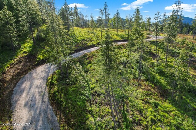 LOT4 Kelley Creek Rd, Cocolalla, ID 83813