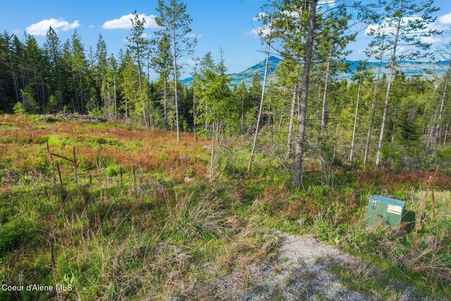 LOT4 Kelley Creek Rd, Cocolalla, ID 83813